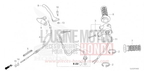 HANDLE LEVER/SWITCH/CABLE CRF50FP de 2023